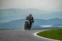 Lower Group White Bikes